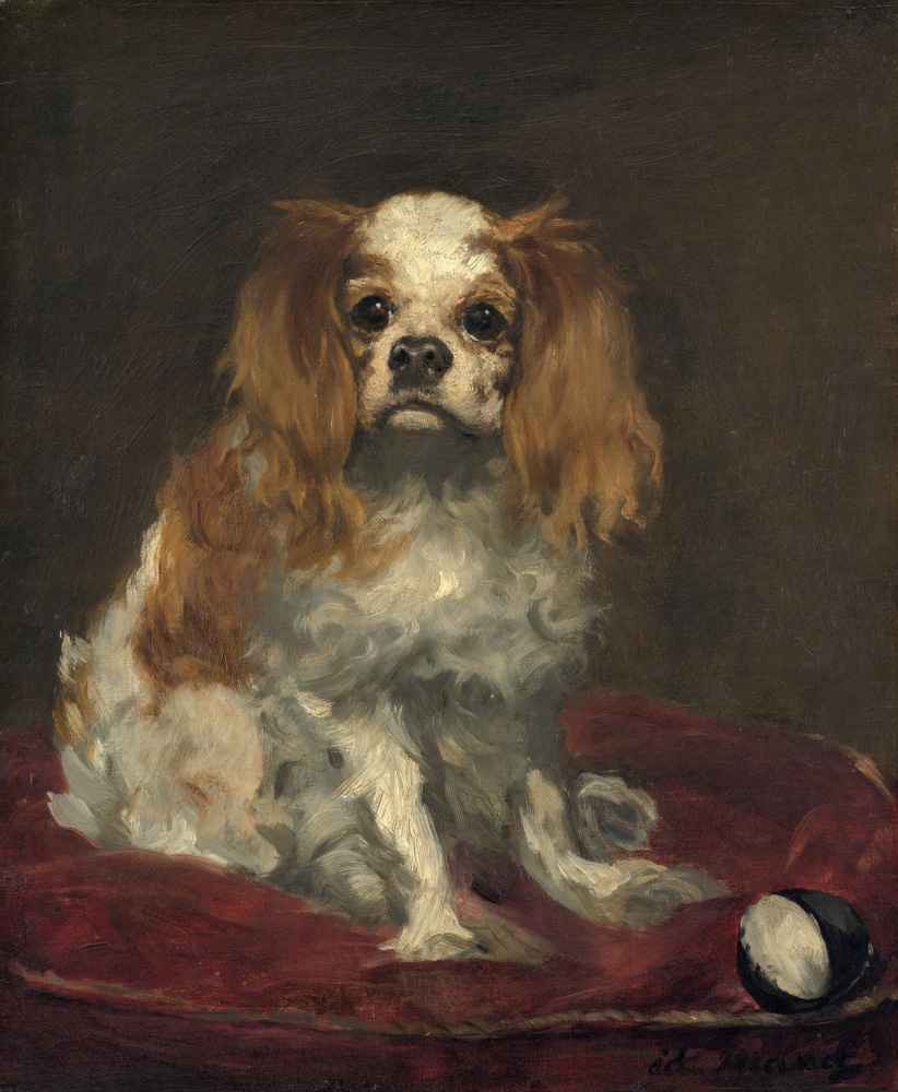 A King Charles Spaniel - Edouard Manet
