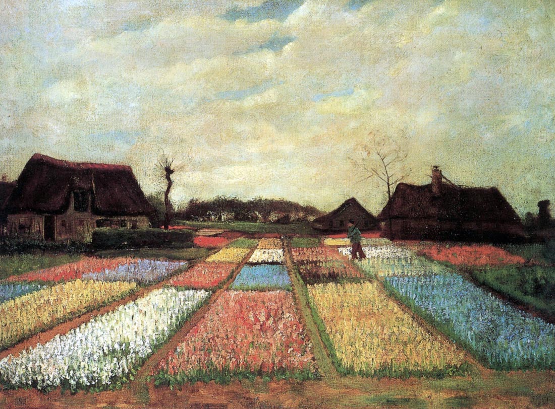 Bulb Fields - Van Gogh