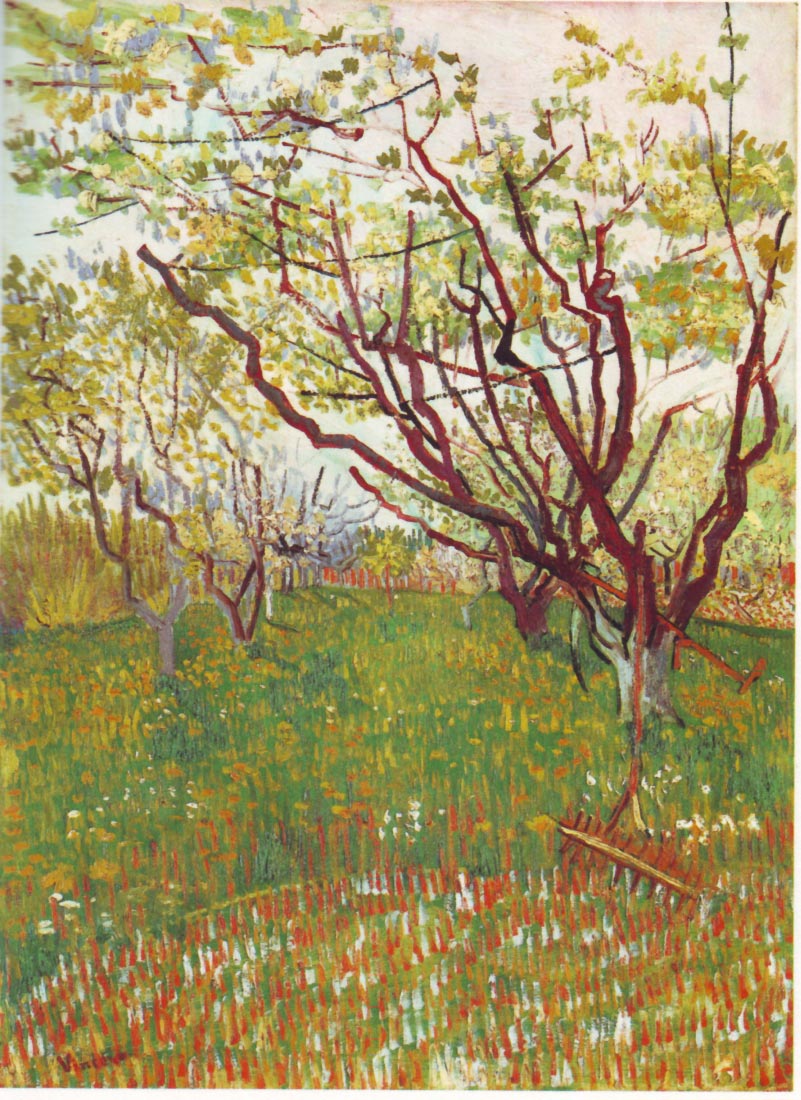 Cherry Tree - Van Gogh