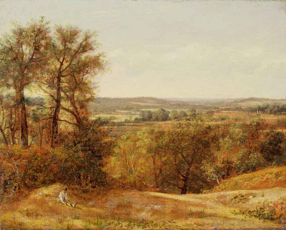 Dedham Vale - John Constable