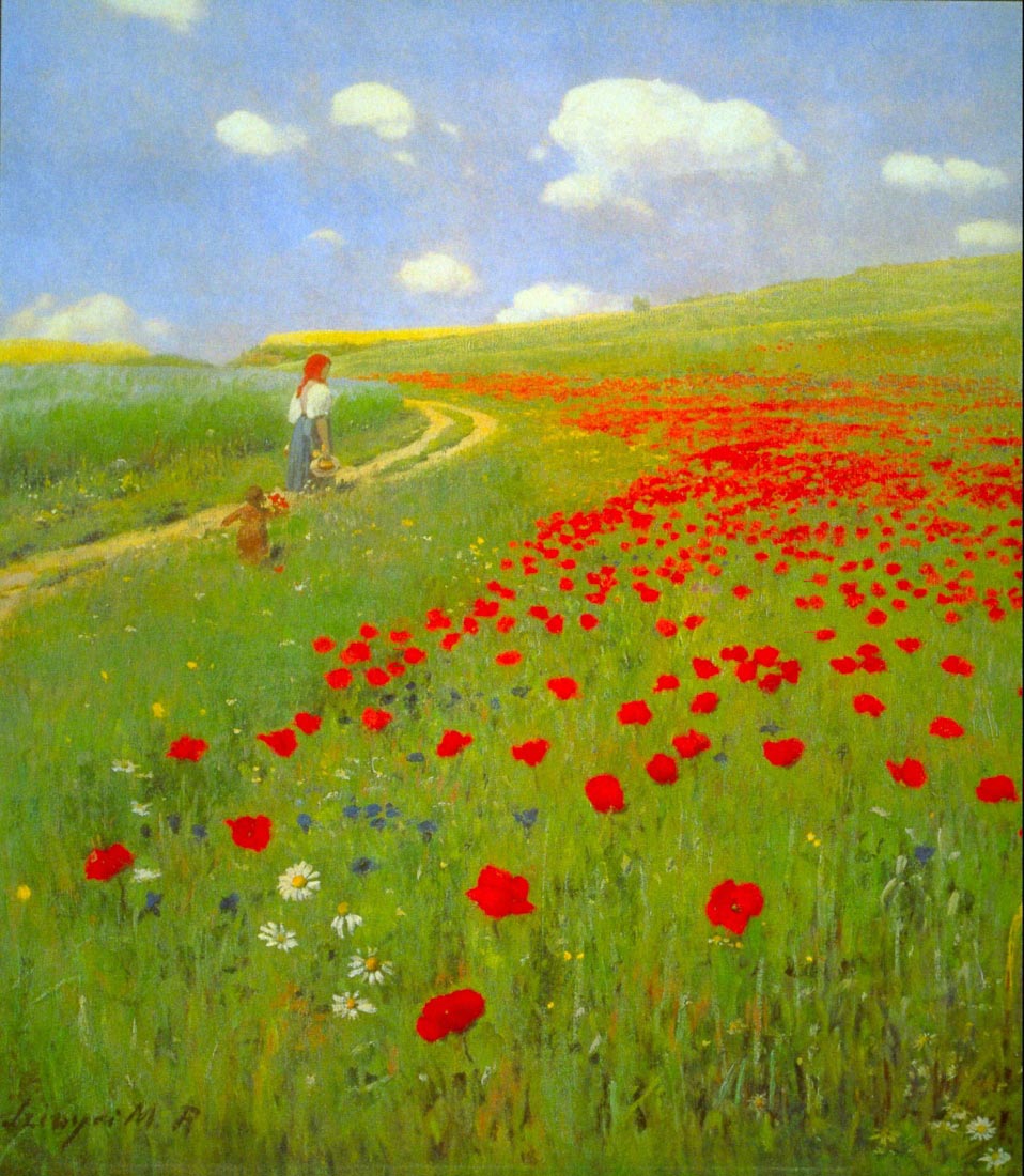 Field of Poppies - Merse