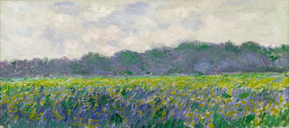 Field of Yellow Irises - Monet