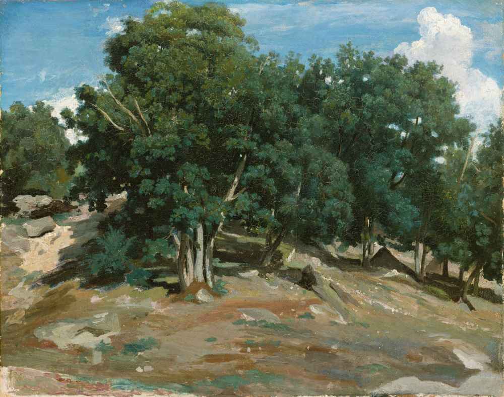 Fontainebleau - Oak Trees at Bas-Breau - Jean Baptiste Camille Corot