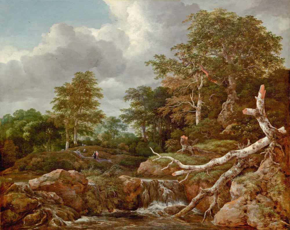 Forest Scene - Jacob van Ruisdael
