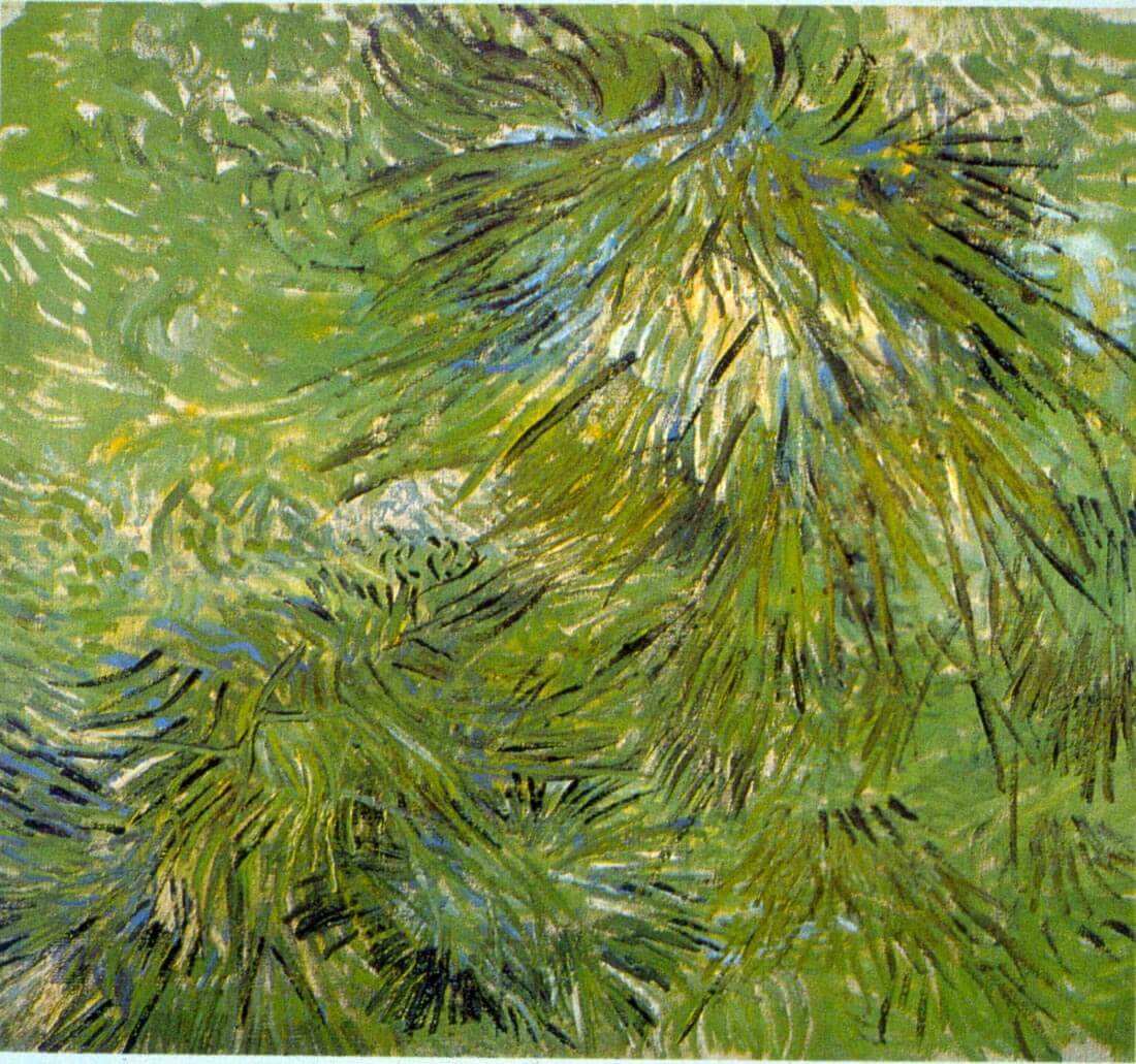 Grass - Van Gogh
