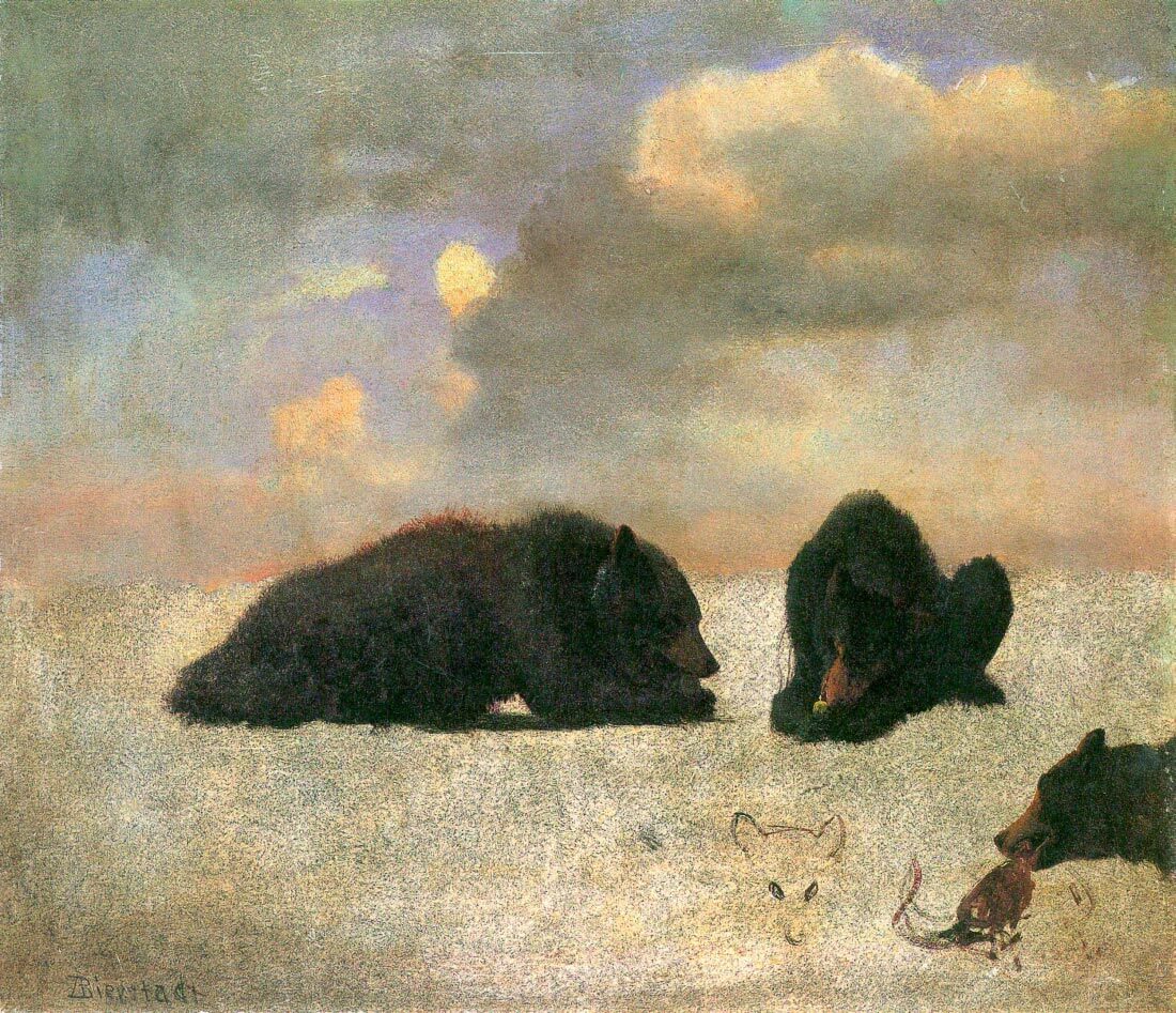 Grizzly Bears - Bierstadt