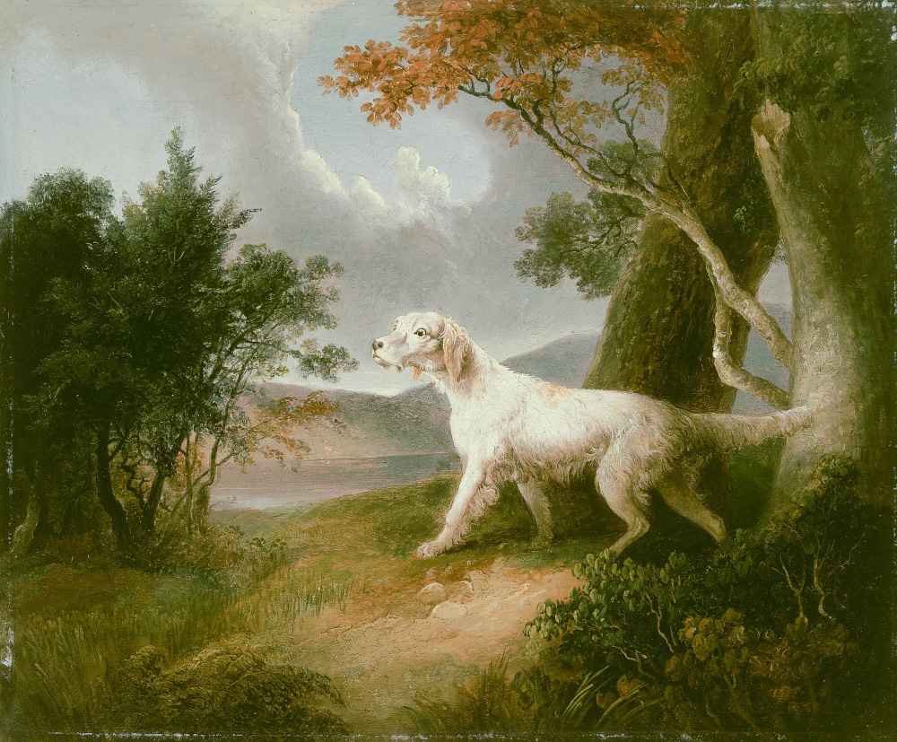 Landscape with Dog - Thomas Doughty