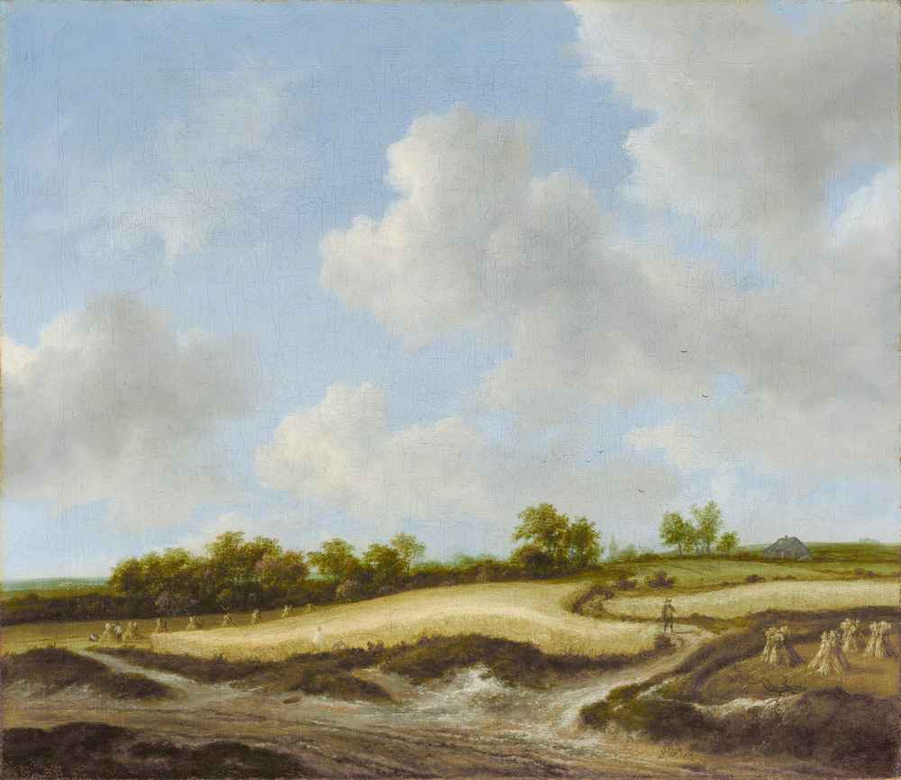 Landscape with a Wheatfield - Jacob van Ruisdael