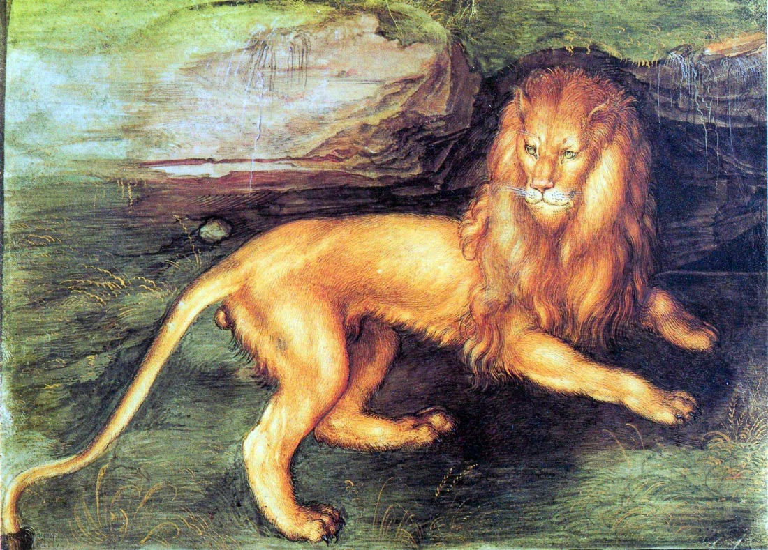 Lion - Durer