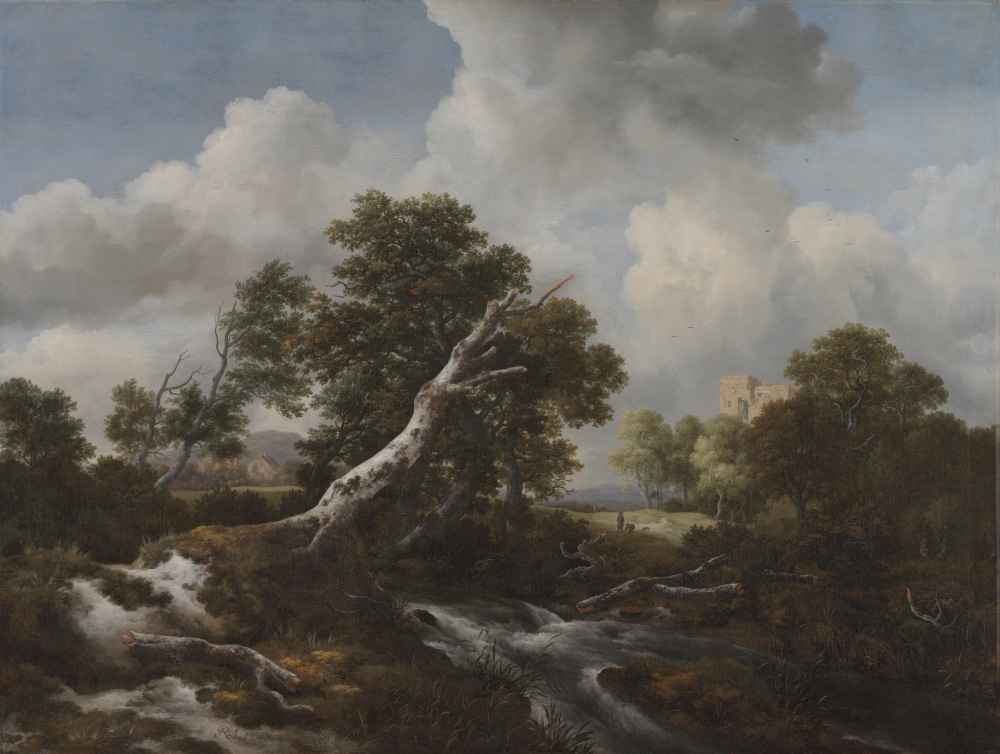 Low Waterfall in a Wooded Landscape with a Dead Beech Tree - Jacob van