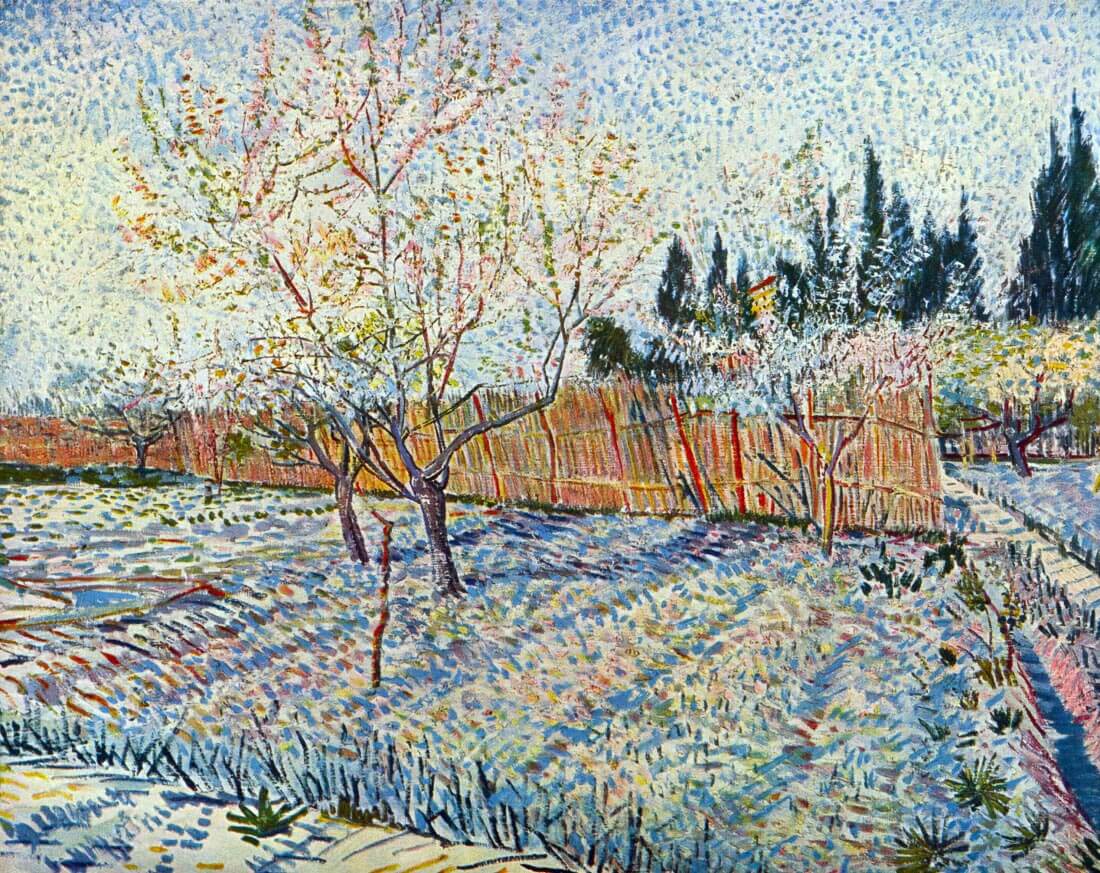 Orchard with cypress - Van Gogh