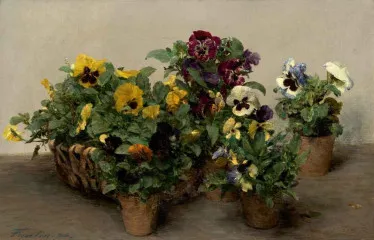 Pansies 2 - Henri Fantin-Latour