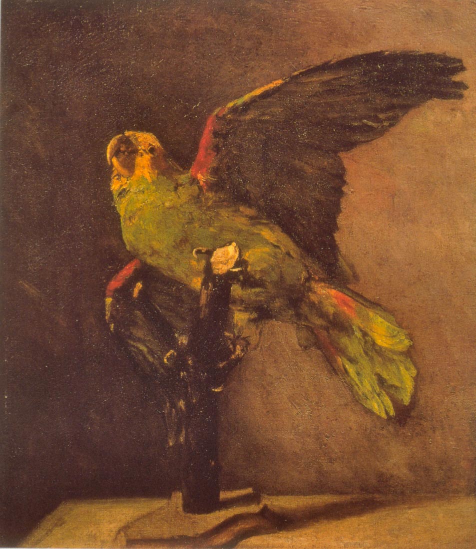 Parrot - Van Gogh