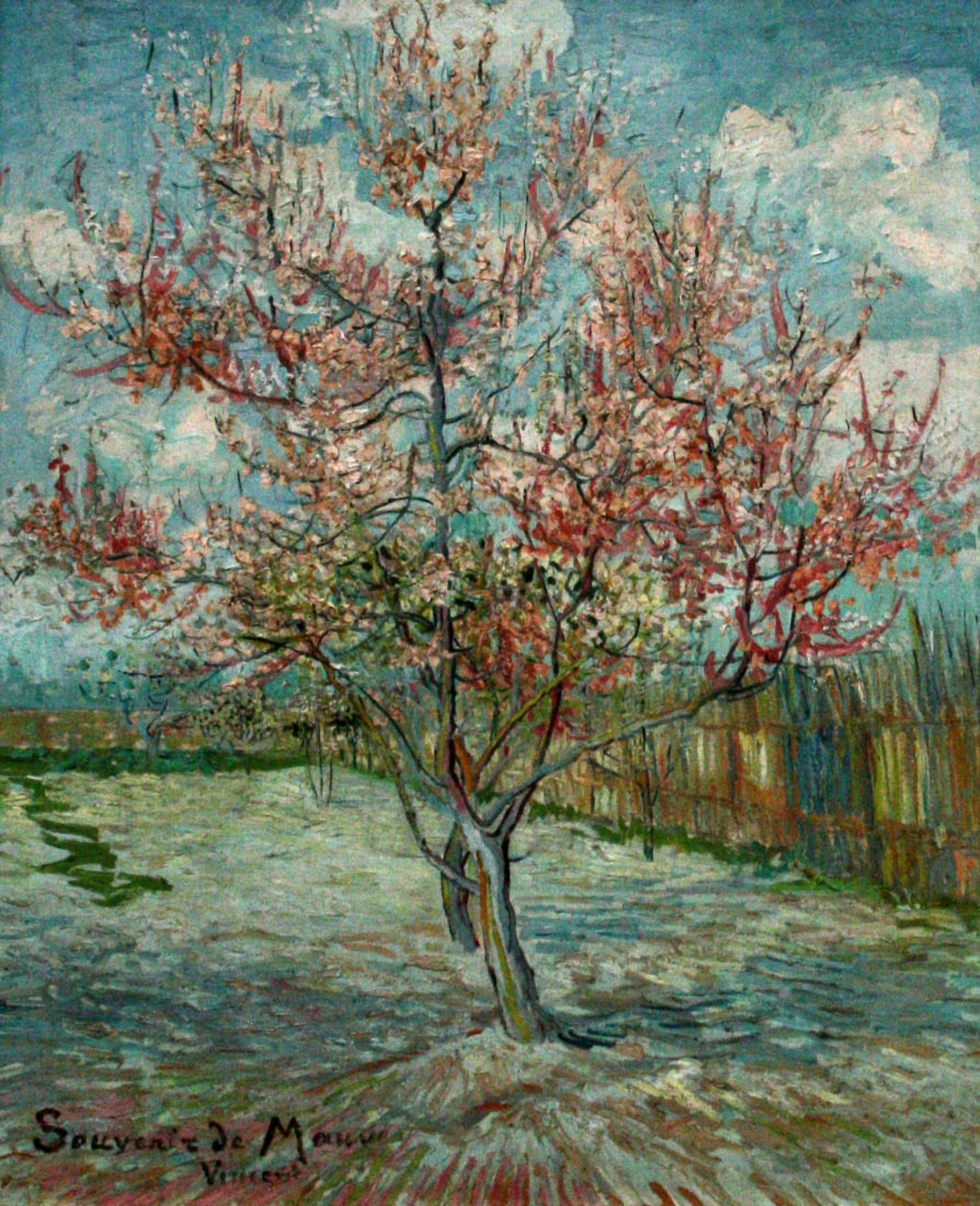 Pink Peach Trees Souvenir de Mauve - Van Gogh