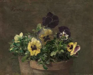 Potted Pansies - Henri Fantin-Latour