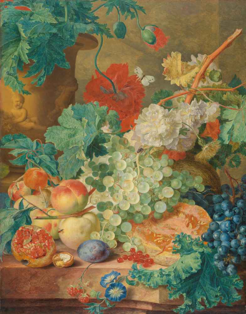 Still Life with Flowers and Fruit - Jan van Huysum