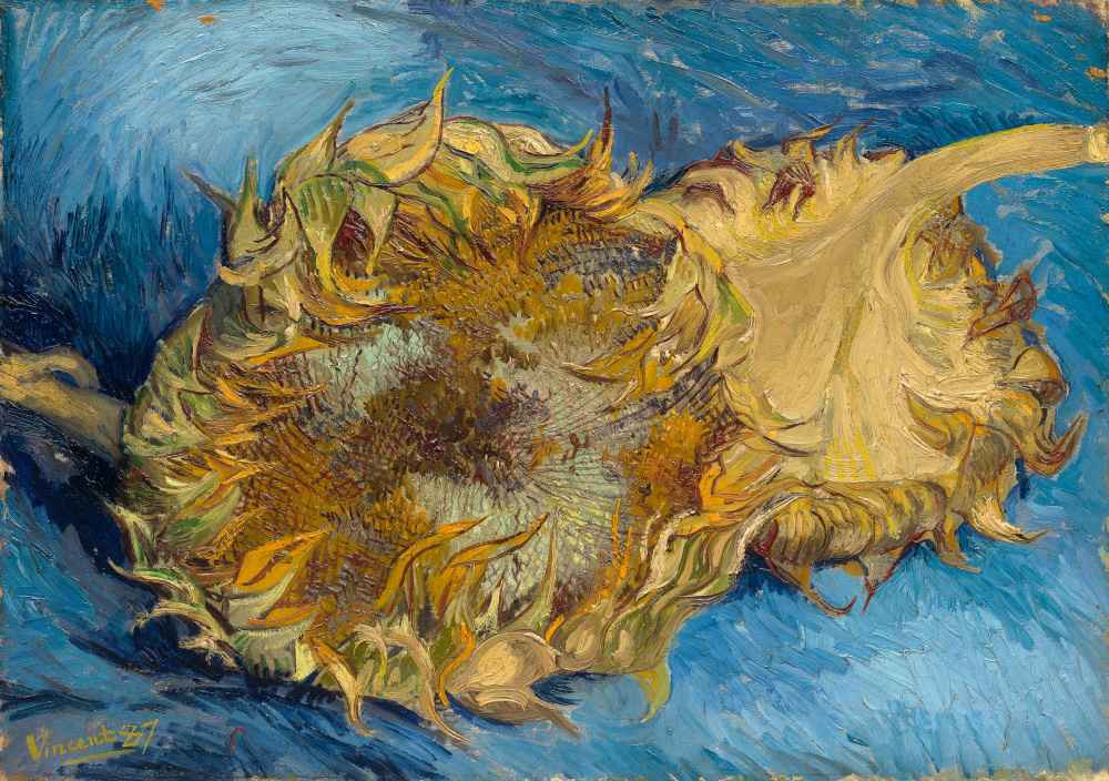 Sunflowers - Vincent van Gogh
