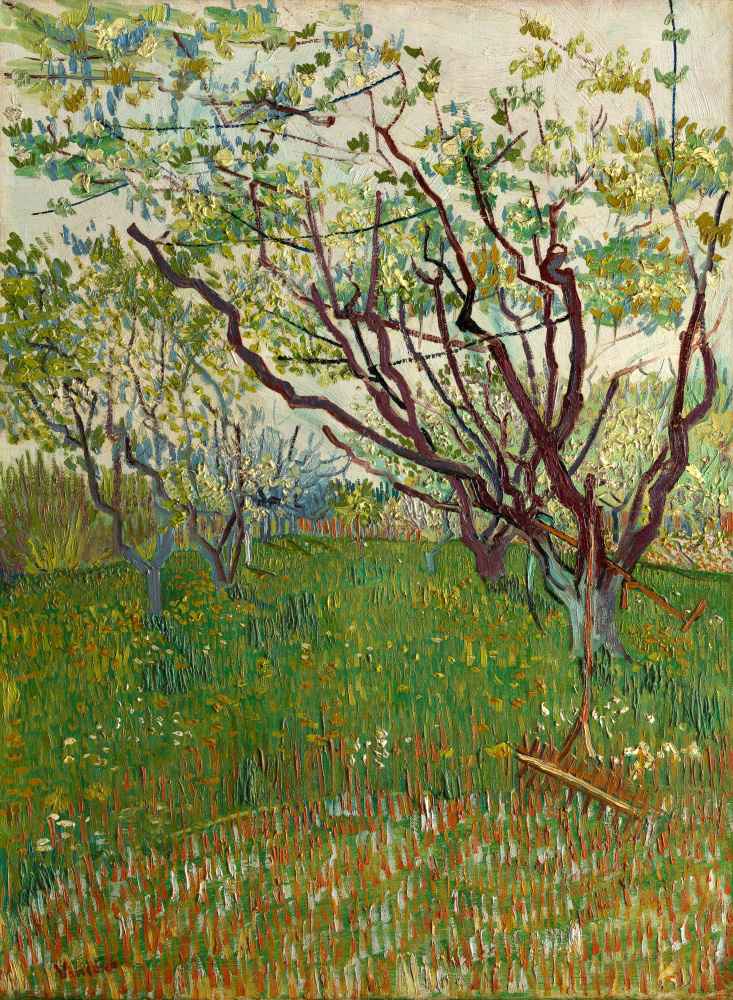 The Flowering Orchard - Vincent van Gogh