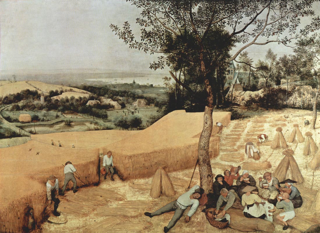 The grain harvest - Pieter Bruegel
