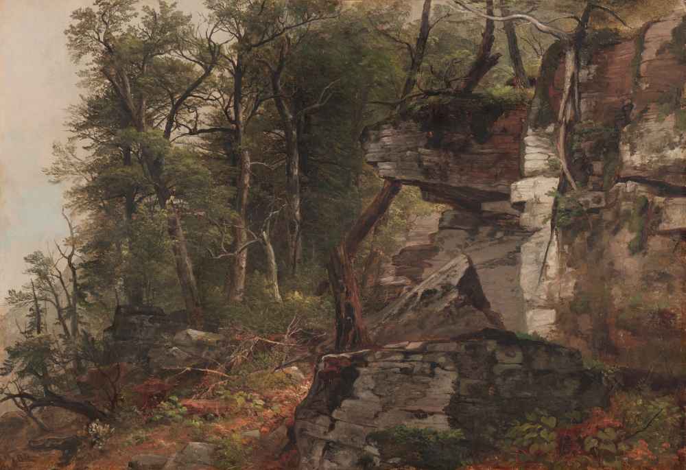 Trees on a Rocky Hillside - Asher Brown Durand