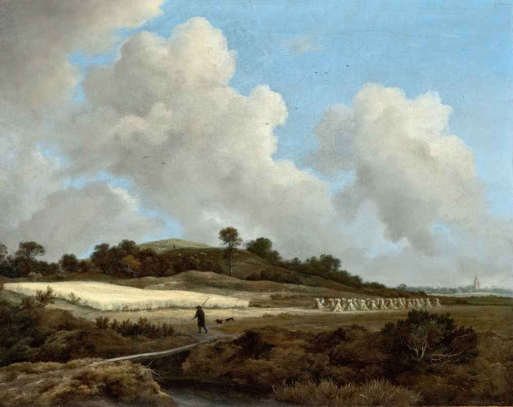 View of Grainfields with a Distant Town - Jacob van Ruisdael