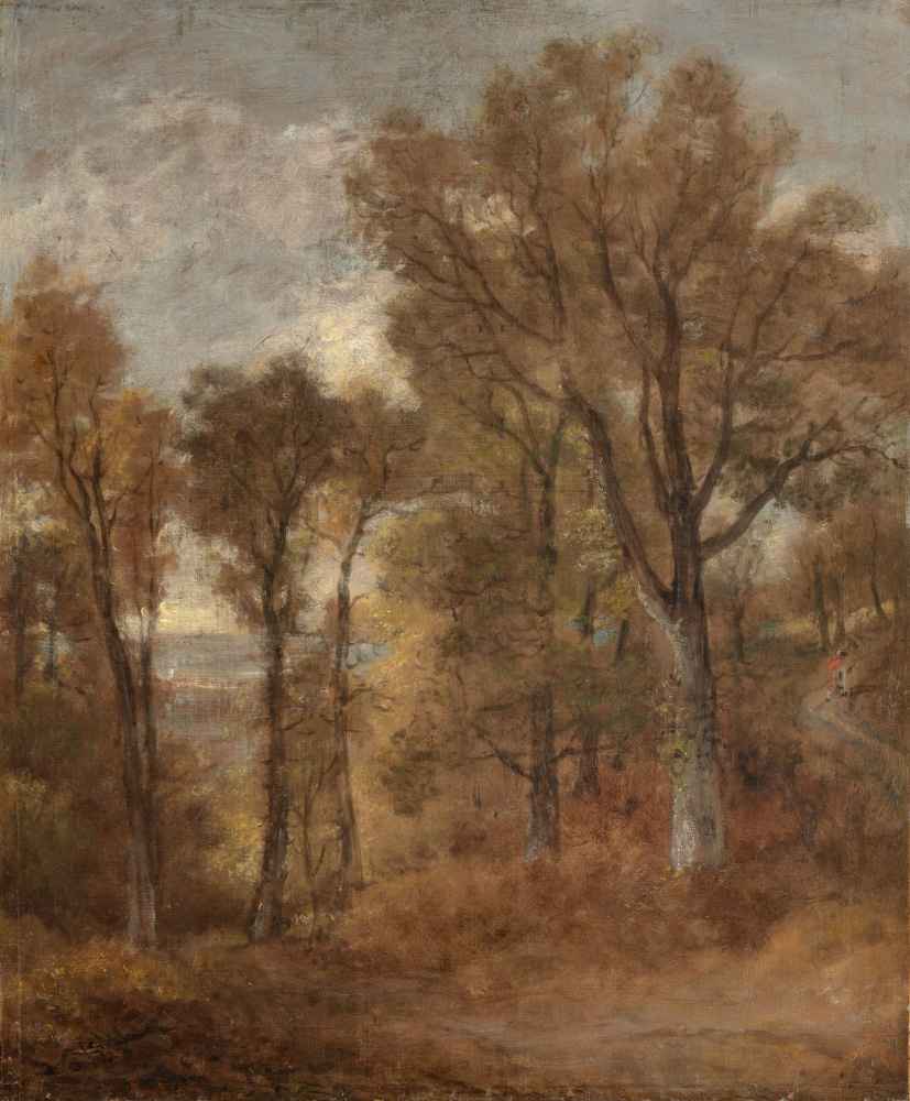 Woodland Scene Overlooking Dedham Vale - John Constable