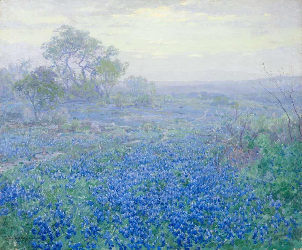 A Cloudy Day, Bluebonnets near San Antonio, Texas (1918) - Julian Onderdonk