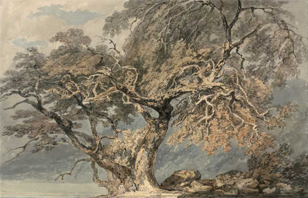 A Great Tree (ca. 1796) - Joseph Mallord William Turner