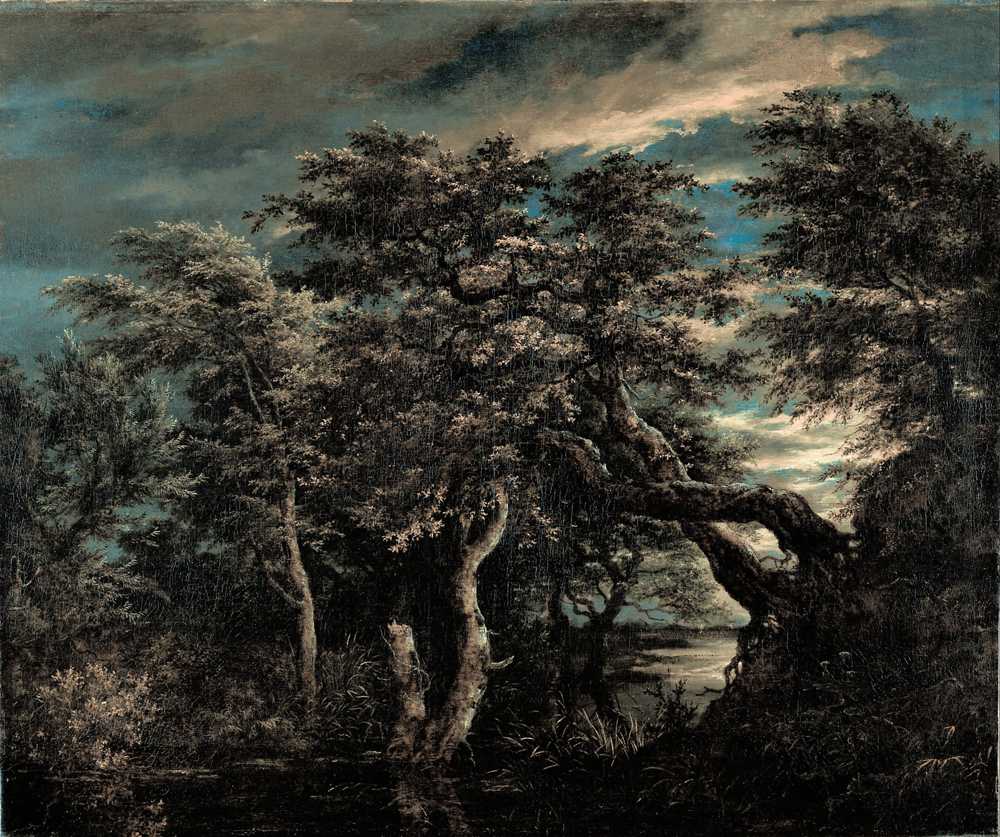 A Marsh in a Forest at Dusk (1660) - Jacob Isaacksz van Ruisdael