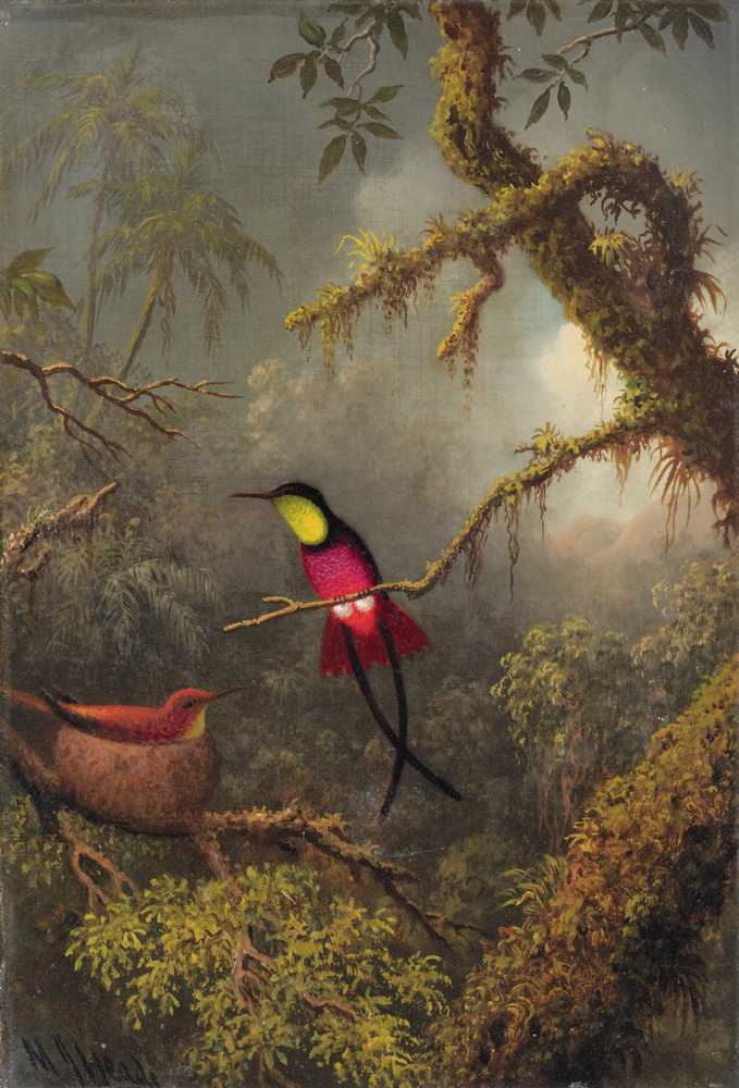A Pair Of Nesting Crimson Topaz Hummingbirds (circa 1875-83) - Heade