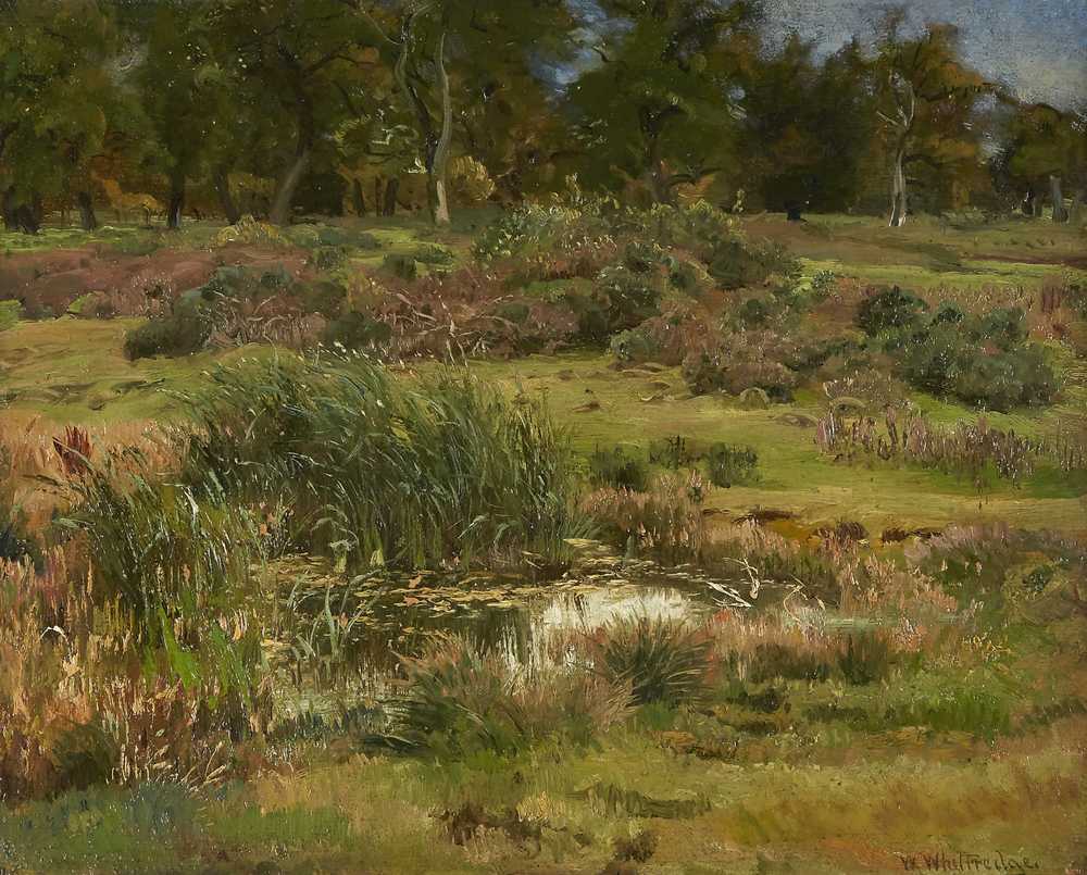 A Study Made in the Sheep Pasture at Namen - Worthington Whittredge