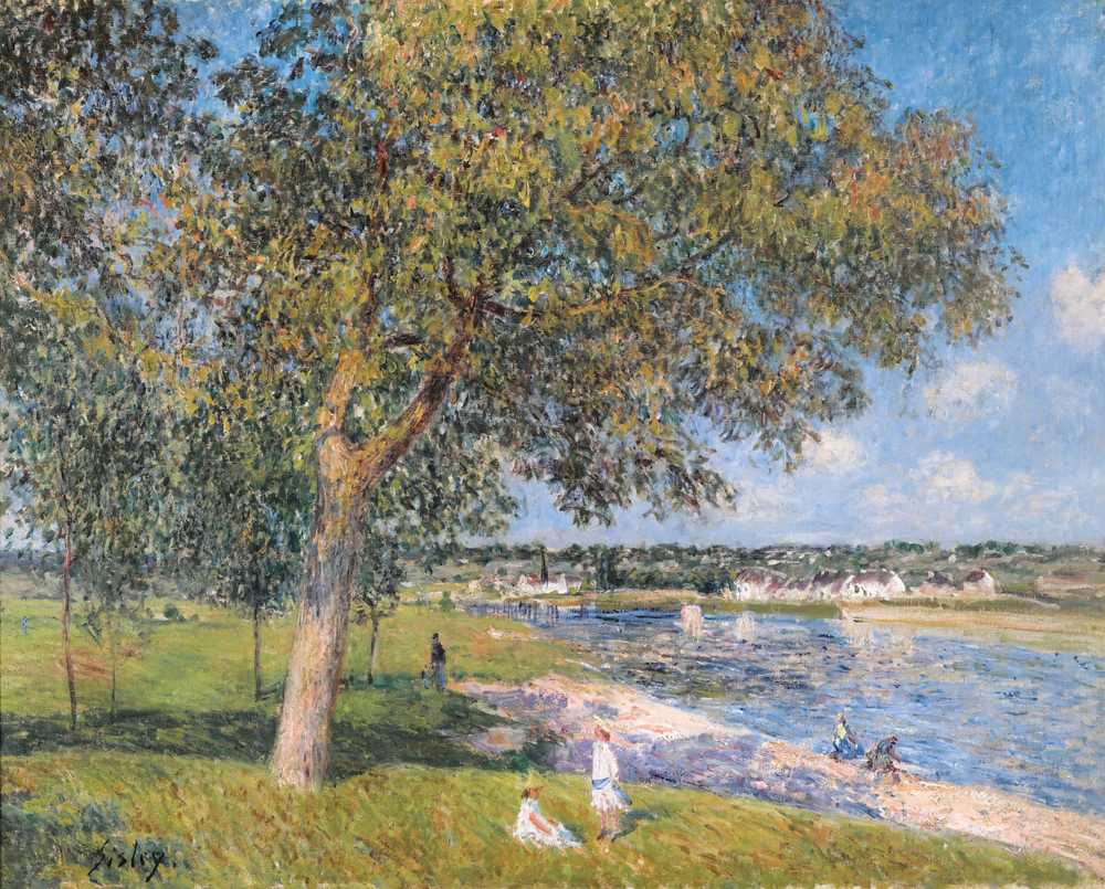 A Walnut Tree In The Meadow Of Thomery (1880) - Alfred Sisley