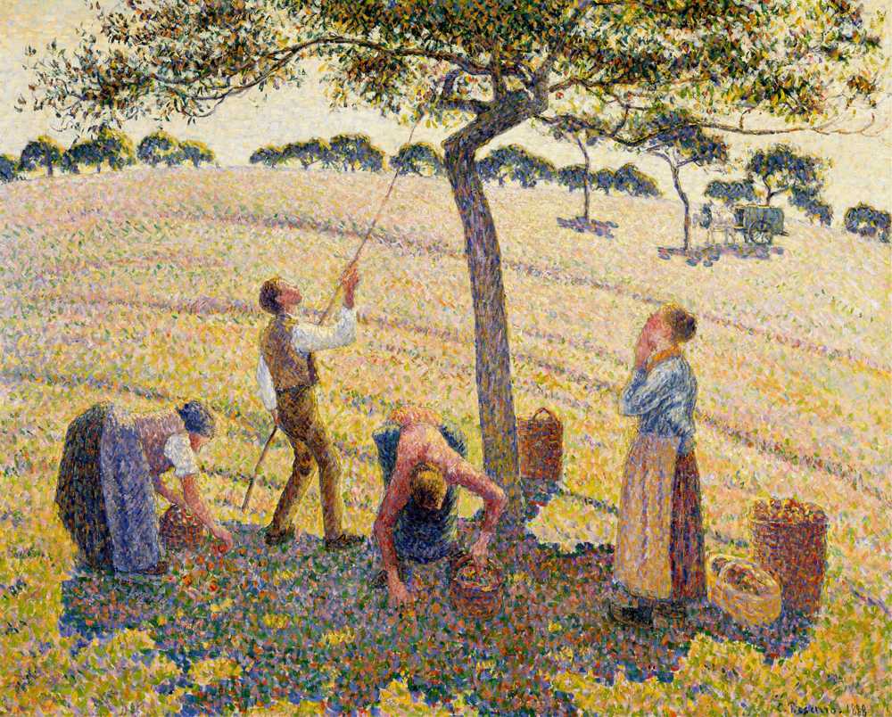 Apple Harvest (1888) - Camille Pissarro