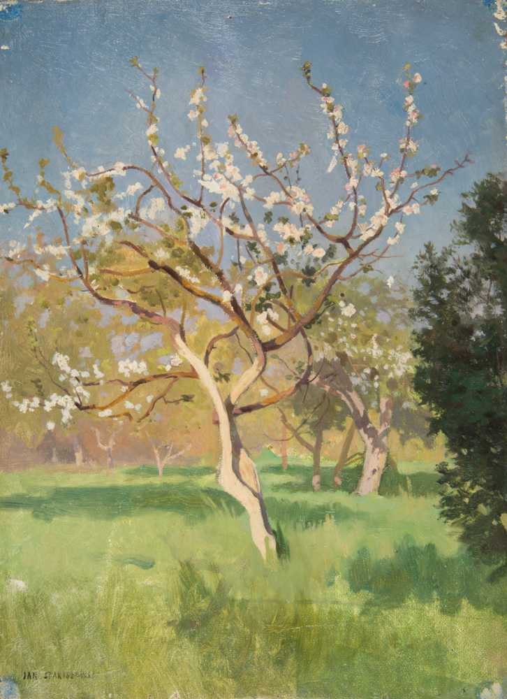 Apple-Tree in Blossom (1897) - Jan Stanisławski