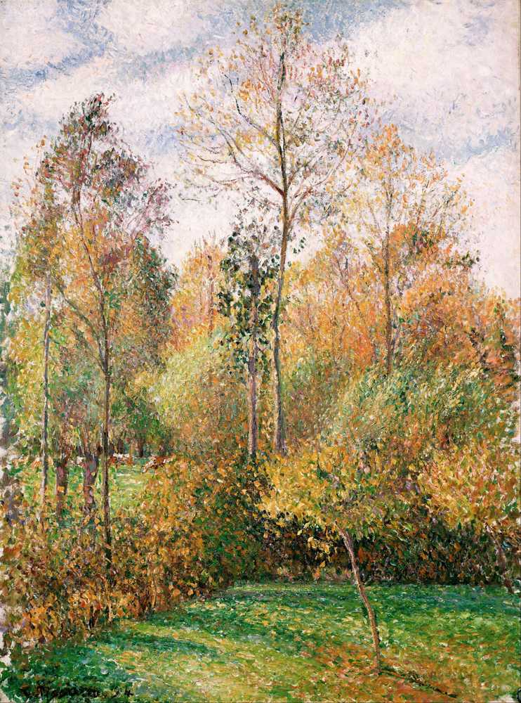 Autumn, Poplars, Eragny - Camille Pissarro