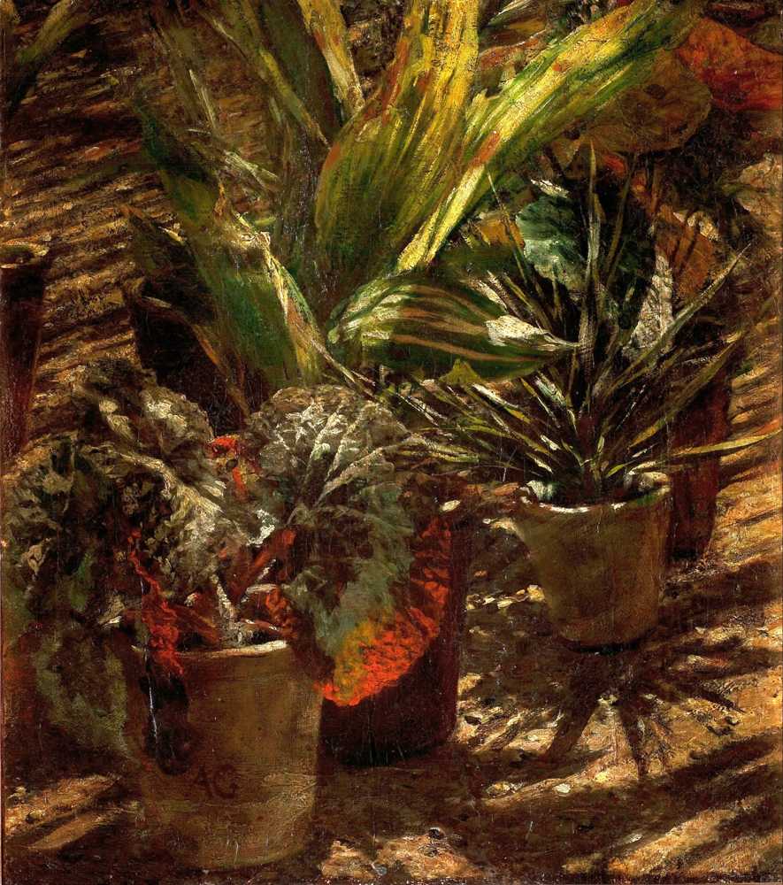 Begonias (between 1876 and 1880) - Aleksander Gierymski