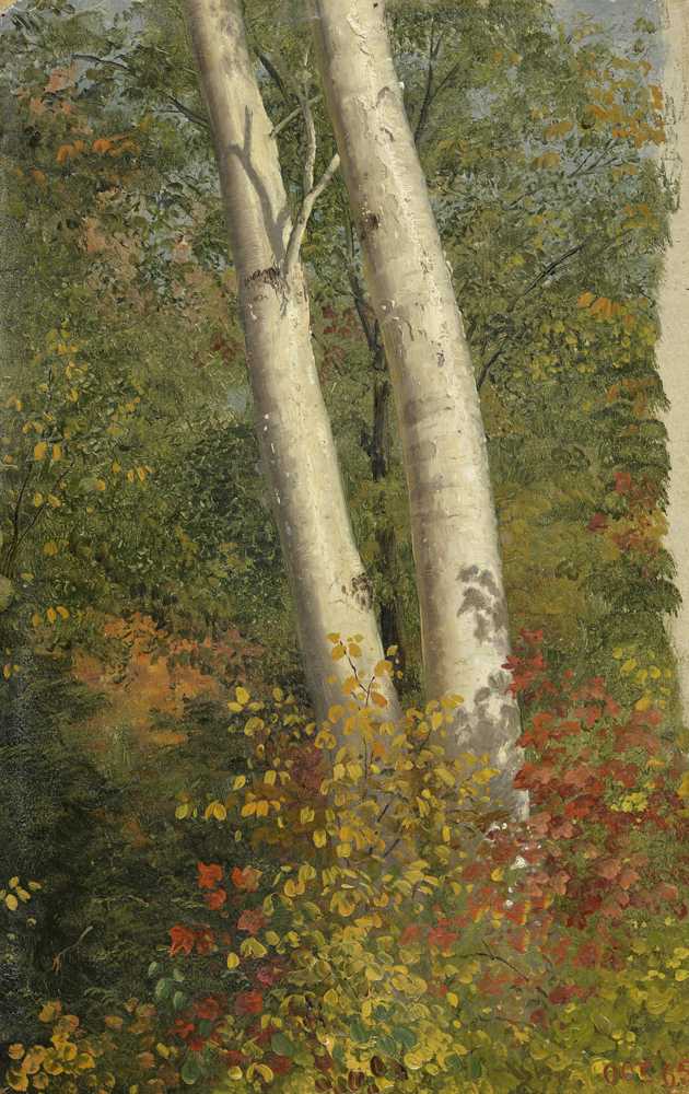 Birch Trees in Autumn (1865) - Frederick Edwin Church