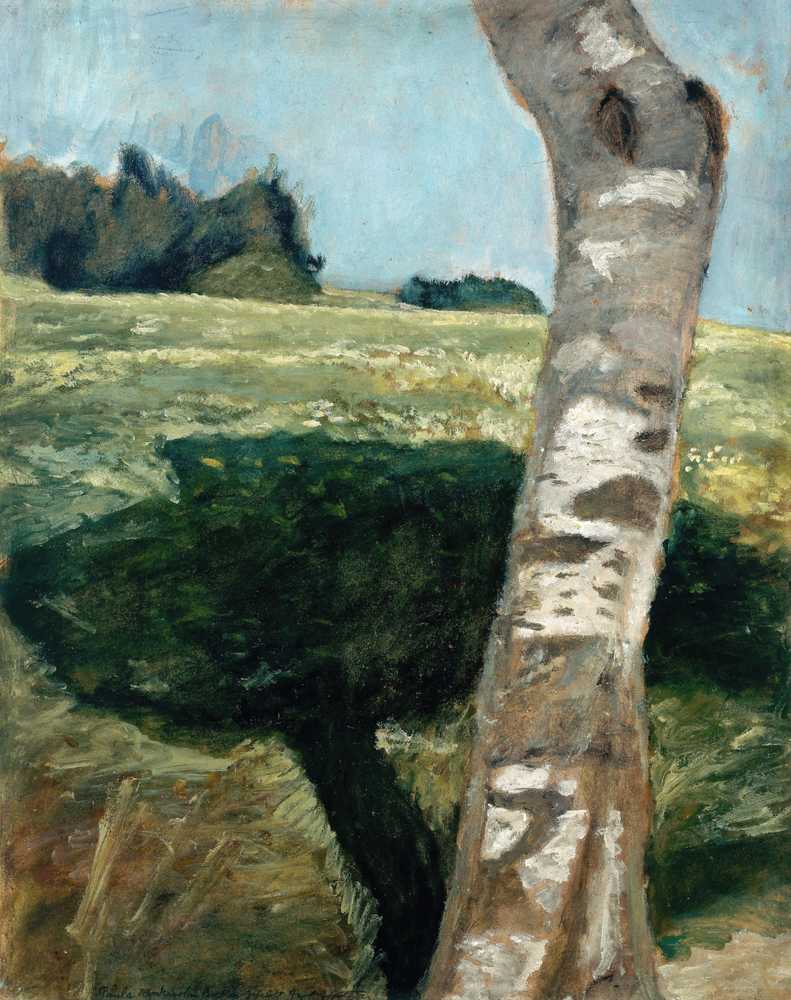 Birch trunk (circa 1902-1903) - Paula Modersohn Becker