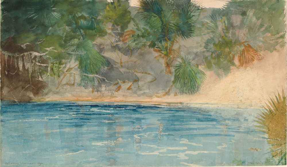 Blue Spring, Florida - Winslow Homer