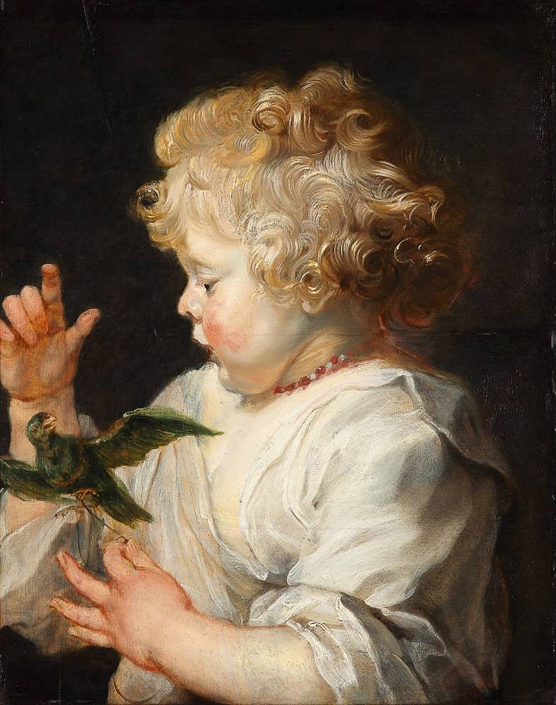 Boy with bird - Peter Paul Rubens