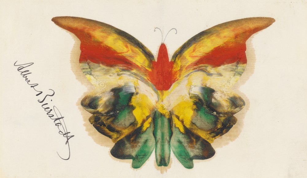 Butterfly - Bierstadt
