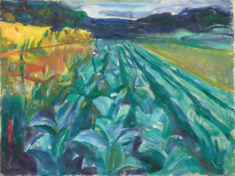 Cabbage Field (1915) - Edward Munch