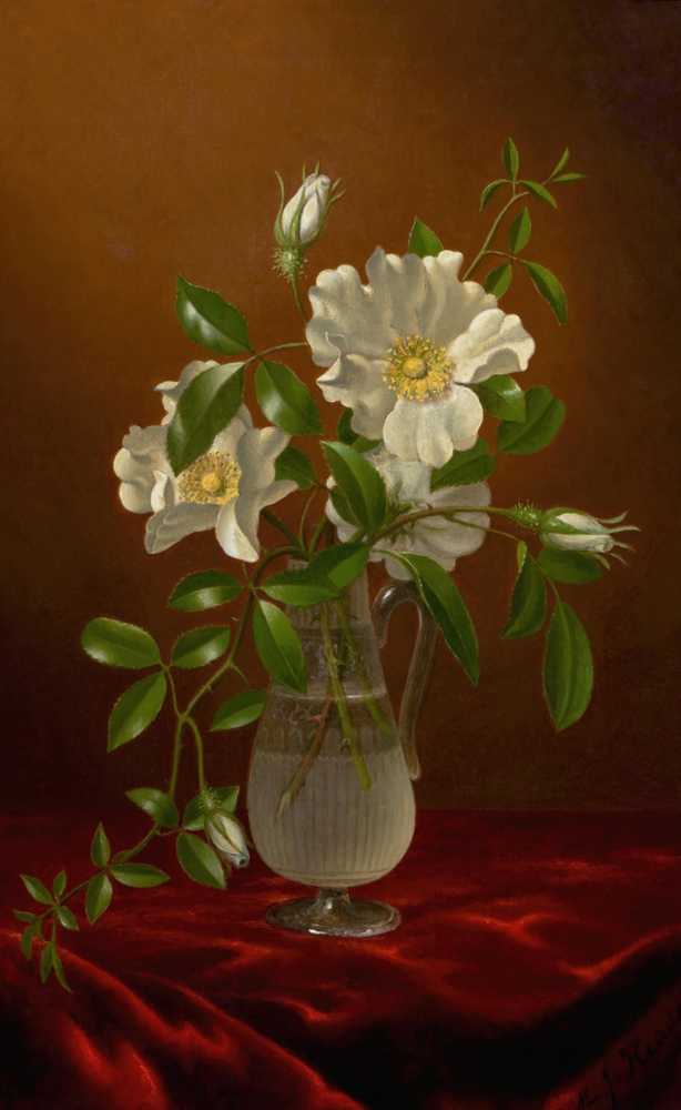 Cherokee Roses in a Glass Vase (circa 1883-1888) - Martin Johnson Heade