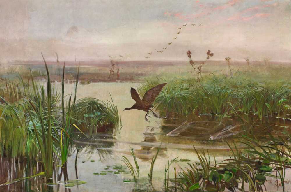 Common moorhen (1894) - Józef Chełmoński