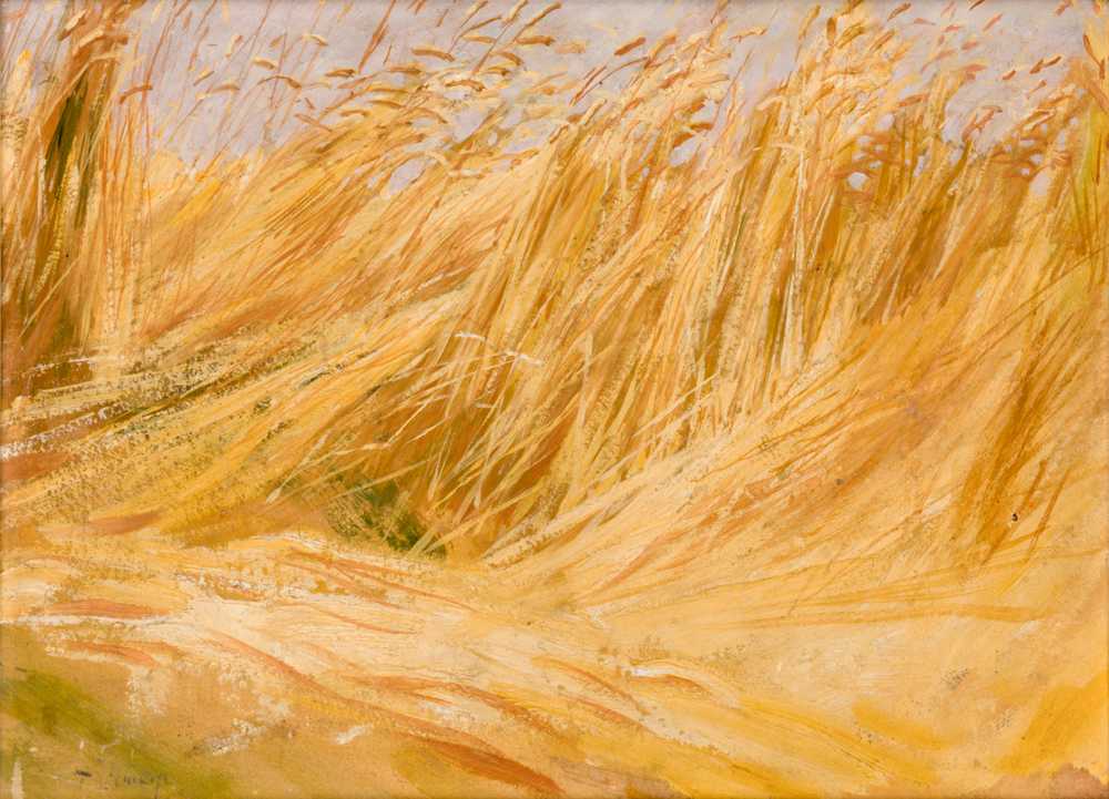 Corn Field (Study) (1901) - Włodzimierz Tetmajer