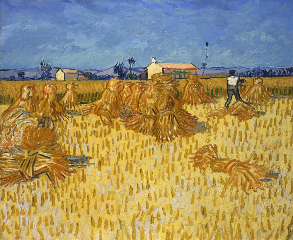 Corn Harvest in Provence - Vincent van Gogh