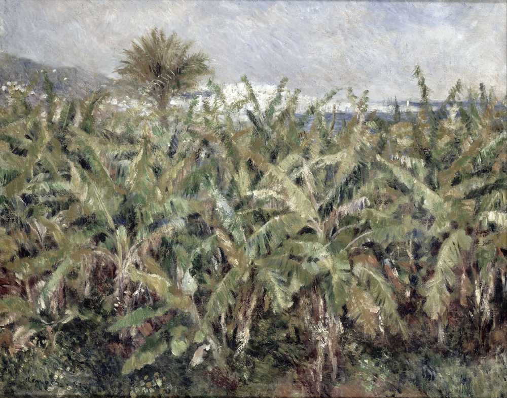 Field of Banana Trees (1881) - Auguste Renoir