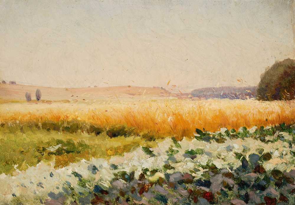 Field of cabbage (from 1895 until 1897) - Jan Stanisławski