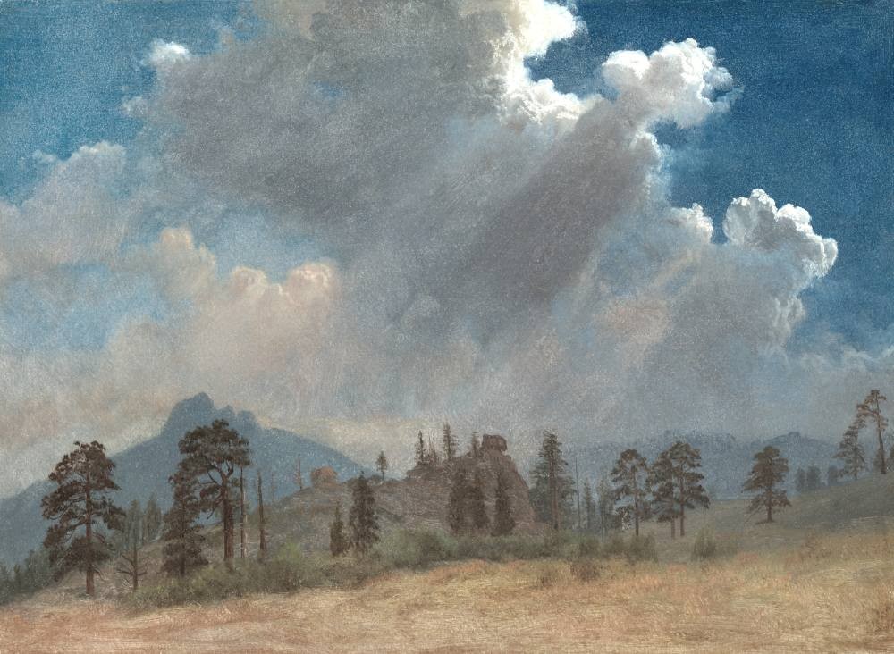 Fir trees and storm clouds - Bierstadt