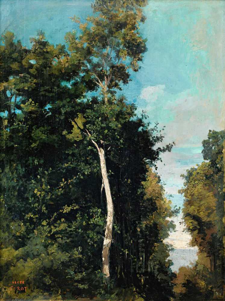 Forest On The Grace Coast In Honfleur - Jean Baptiste Camille Corot